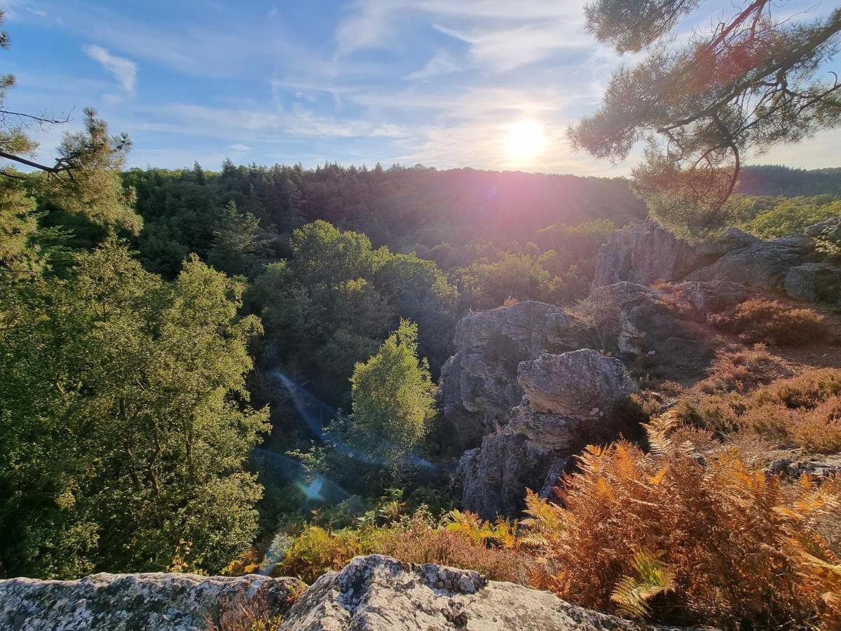 La Tiny Proche Lac Et Foret Sillé-le-Guillaume Exterior foto